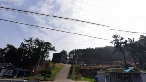 노화장례문화센터 입구 전경