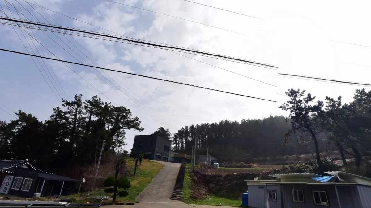 노화장례문화센터 입구 전경