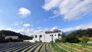 풍기장례식장 입구 전경